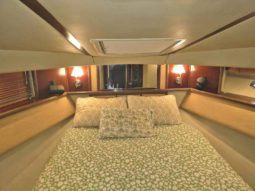 
										SEA RAY SEDAN BRIDGE 50 full									