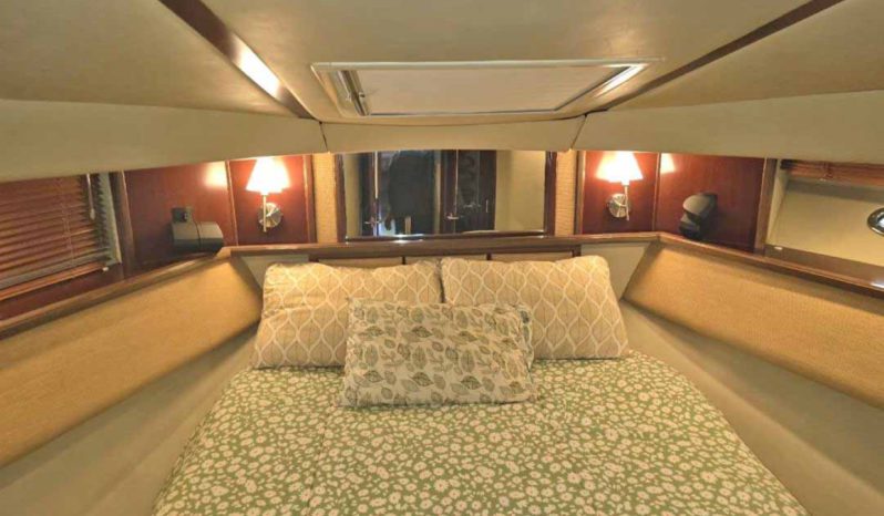 
								SEA RAY SEDAN BRIDGE 50 full									