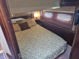 
										SEA RAY SEDAN BRIDGE 50 full									