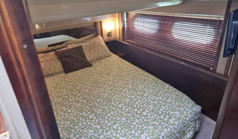 
								SEA RAY SEDAN BRIDGE 50 full									