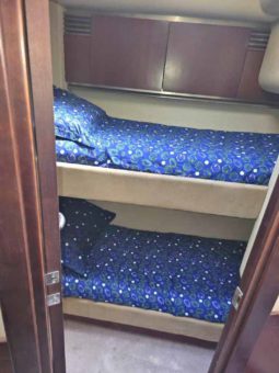 
										SEA RAY SEDAN BRIDGE 50 full									