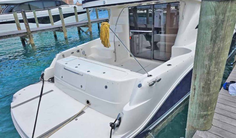 
								SEA RAY SEDAN BRIDGE 50 full									
