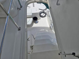 
										SEA RAY SEDAN BRIDGE 50 full									