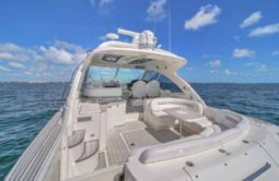 
										SEA RAY SUNDANCER 500 50 full									