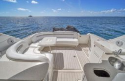 SEA RAY SUNDANCER 500 50