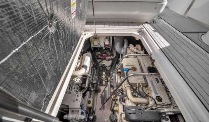 
								SEA RAY SUNDANCER 500 50 full									