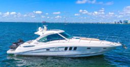 SEA RAY SUNDANCER 500 50