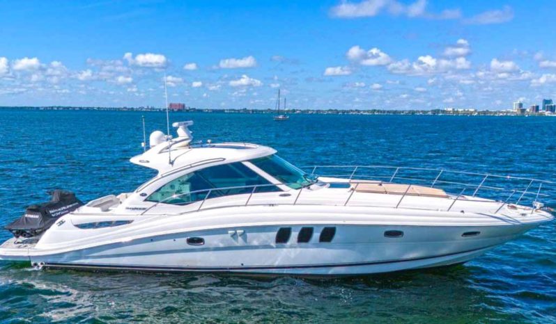 
								SEA RAY SUNDANCER 500 50 full									