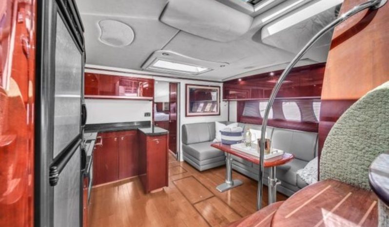 
								SEA RAY SUNDANCER 500 50 full									