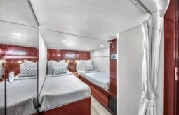 
										SEA RAY SUNDANCER 500 50 full									
