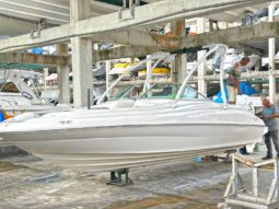SEA RAY SUNDECK 21