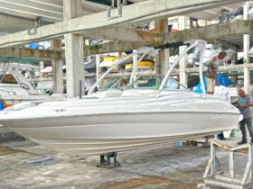 SEA RAY SUNDECK 21