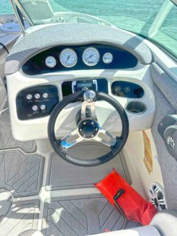 SEA RAY SUNDECK 21