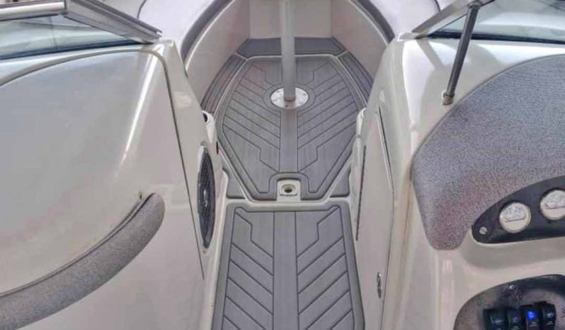 
								SEA RAY SUNDECK 21 full									