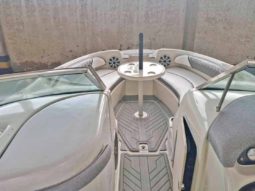 SEA RAY SUNDECK 21