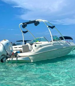 
										SEA RAY SUNDECK 21 full									
