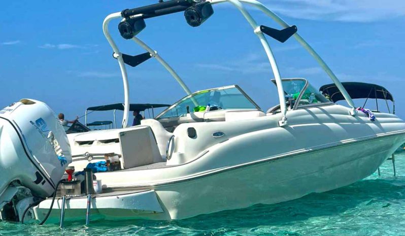 
								SEA RAY SUNDECK 21 full									