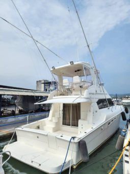 
										SILVERTON CONVERTIBLE 42 full									