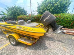 TRITON BOATS TR 19