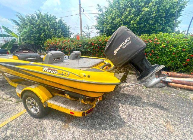 
								TRITON BOATS TR 19 full									