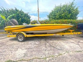 TRITON BOATS TR 19
