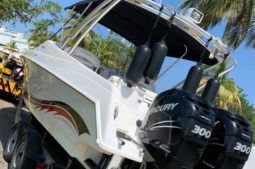 
										COMMANDER MILLENIUM 34 full									