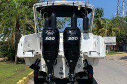
										COMMANDER MILLENIUM 34 full									
