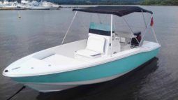 
										SCOUT  SPORTFISH FAB NACIONAL 18 full									