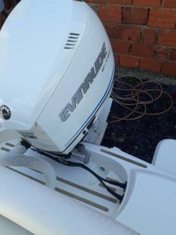 
										PROMARINE OPEN 21 full									