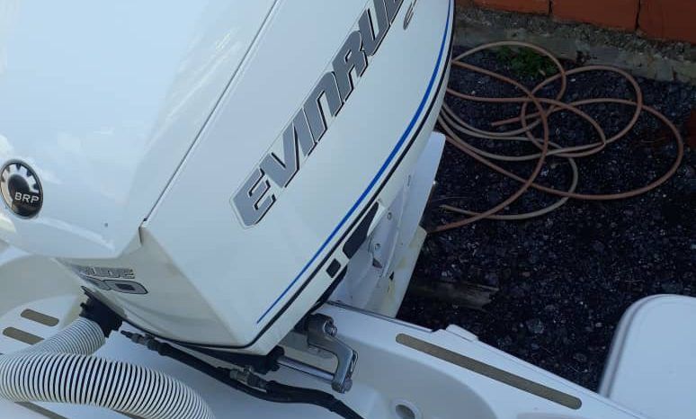 
								PROMARINE OPEN 21 full									