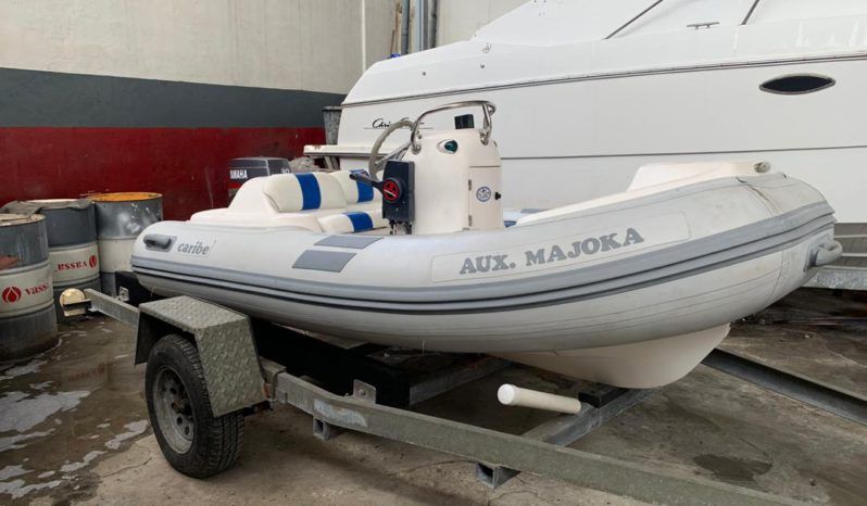 
								DINGHY CARIBE 11 full									