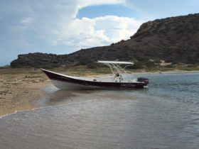 PEÑERO TRAVESIA 24