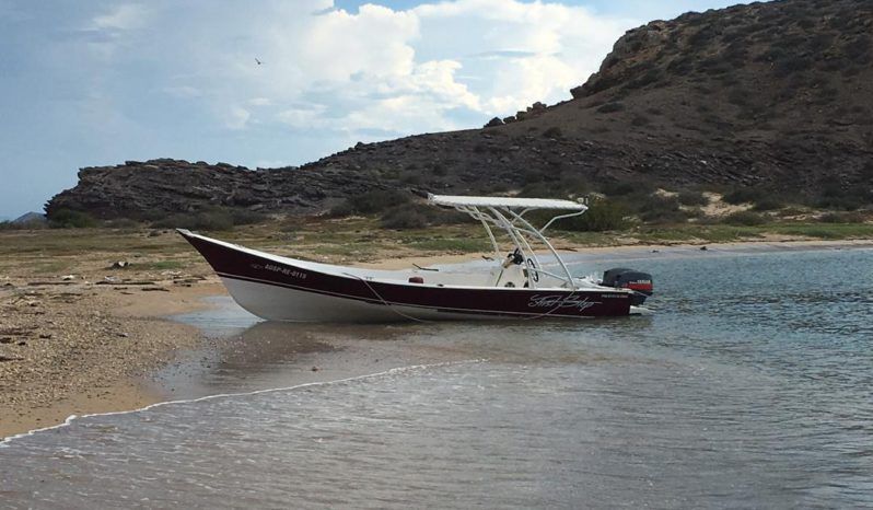 
								PEÑERO TRAVESIA 24 full									