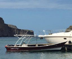 
										PEÑERO TRAVESIA 24 full									