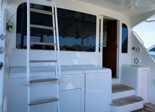 
								VIKING 55 full									