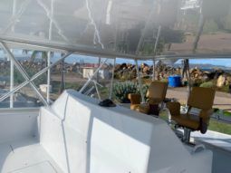 
										VIKING 55 full									