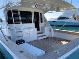 
										VIKING 55 full									