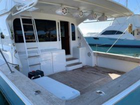 VIKING 55