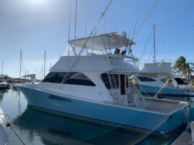 VIKING 55