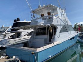 VIKING 55