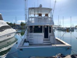 
										VIKING 55 full									