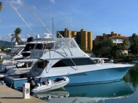 VIKING 55