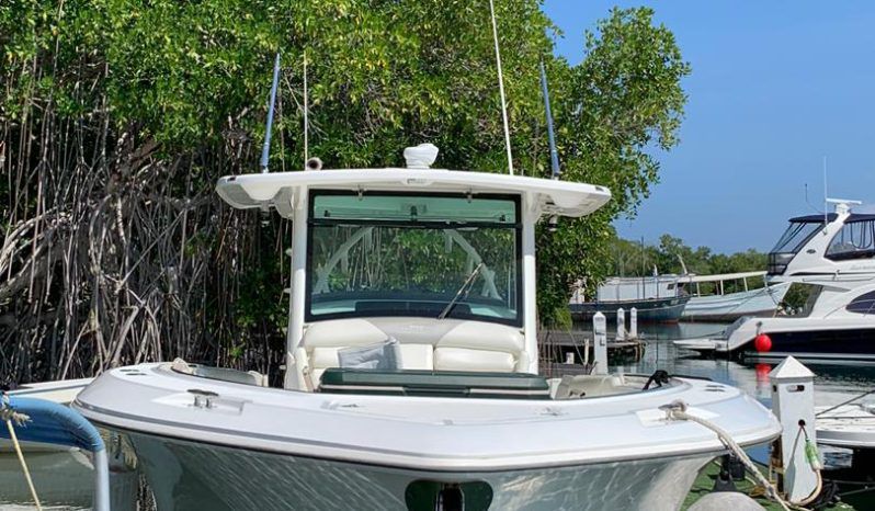 
								BOSTON WHALER 37 full									