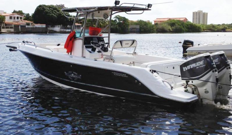 
								INTERMARINE OPEN 24 full									
