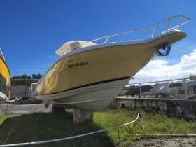 PROMARINE OPEN 33