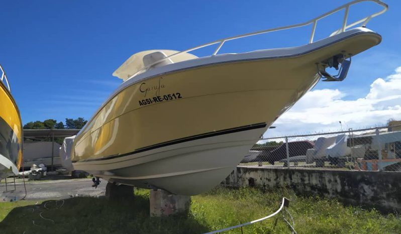 
								PROMARINE OPEN 33 full									