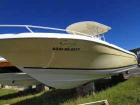 PROMARINE OPEN 33