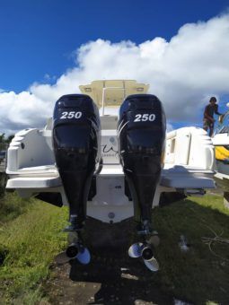 
										PROMARINE OPEN 33 full									