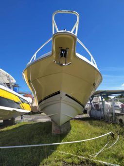 
										PROMARINE OPEN 33 full									