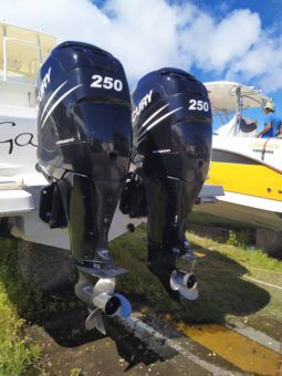 
										PROMARINE OPEN 33 full									